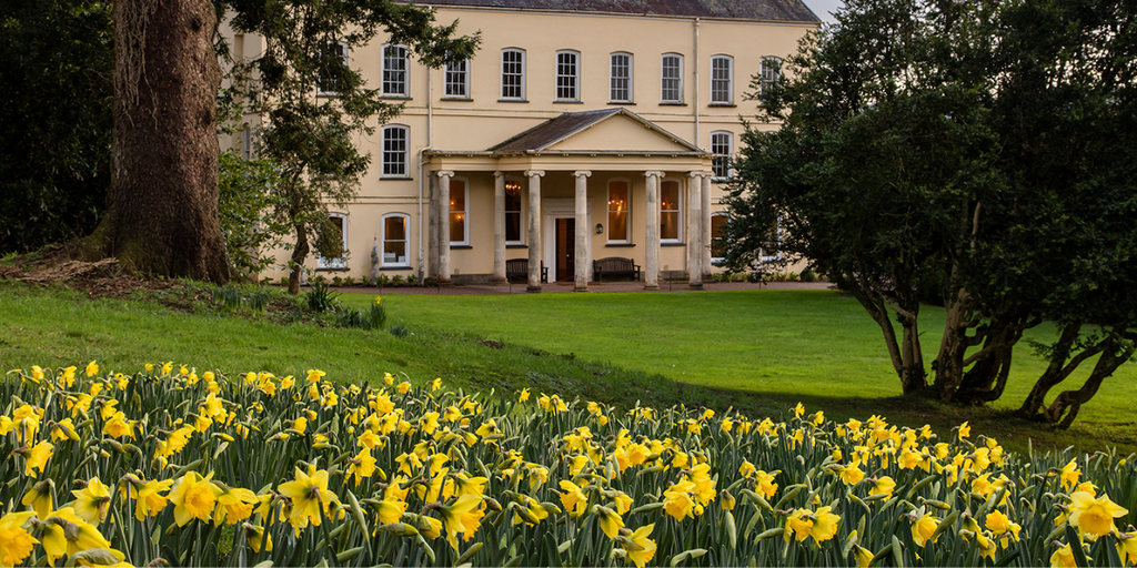 The February Garden at Aberglasney 2022