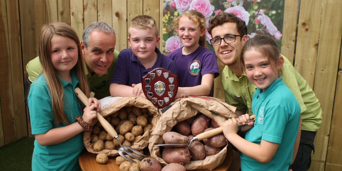 Bumper Crop From Talgarth Primary - Old Railway Line Garden Centre