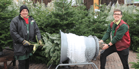 Charity Christmas Treecycling - Old Railway Line Garden Centre