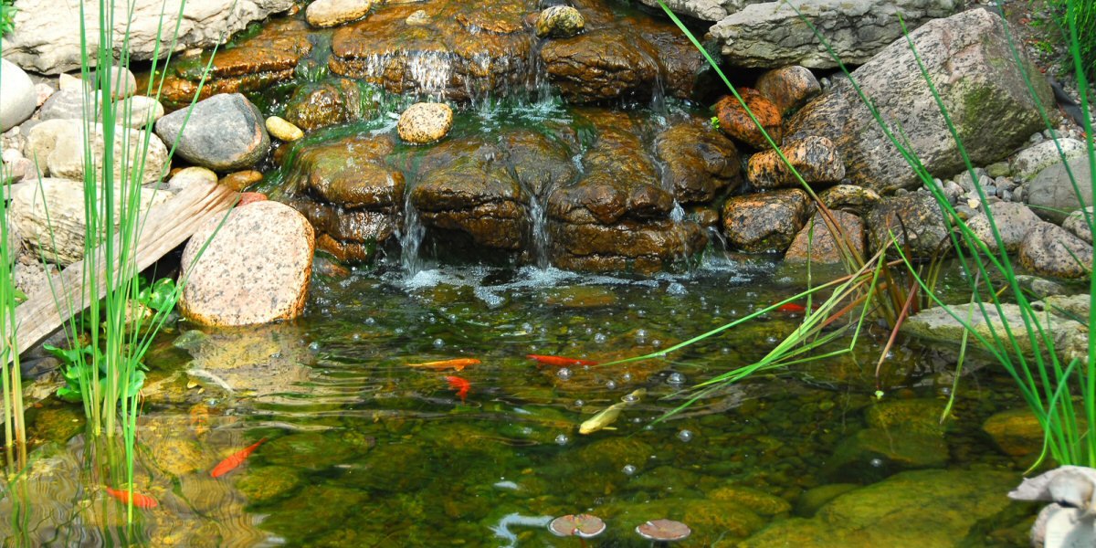 Creating Garden Ponds - Old Railway Line Garden Centre