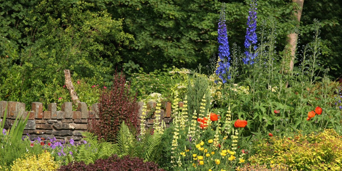 Gardening with Wildlife in Mind - Old Railway Line Garden Centre