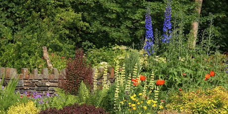 Gardening with Wildlife in Mind - Old Railway Line Garden Centre