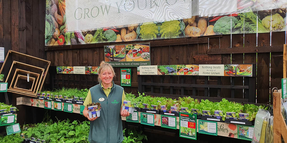 Grow Your Own Fruit and Vegetables: A Simple Guide for Beginners - Old Railway Line Garden Centre