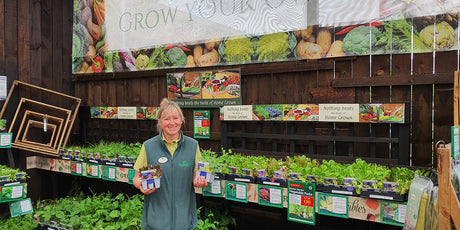 Grow Your Own Fruit and Vegetables: A Simple Guide for Beginners - Old Railway Line Garden Centre