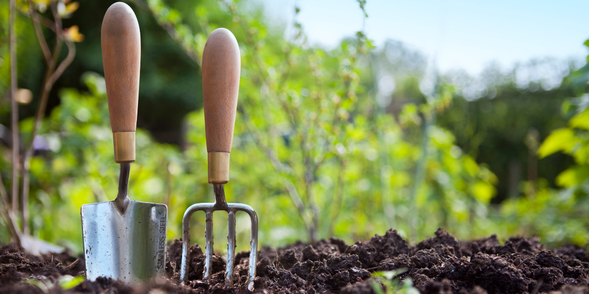 How To Care For Your Plants While On Holiday - Old Railway Line Garden Centre