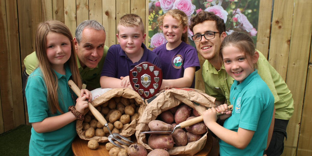 Bumper Crop From Talgarth Primary