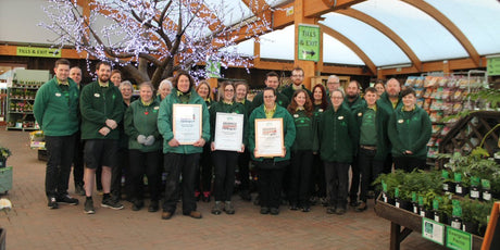 Old Railway Line Awarded Three Awards at GTN Greatest Christmas Awards - Old Railway Line Garden Centre