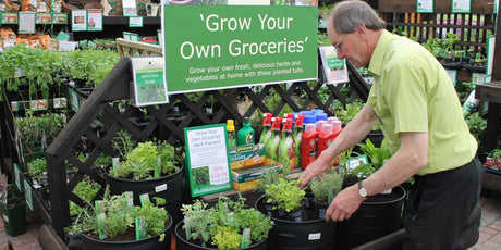 Planting in Containers - Old Railway Line Garden Centre