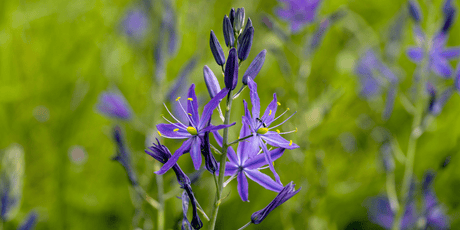 Preparing for Summer - Old Railway Line Garden Centre