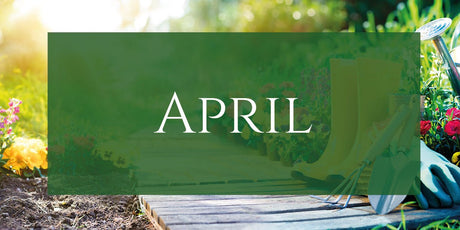 The Garden in April 2021 - Old Railway Line Garden Centre