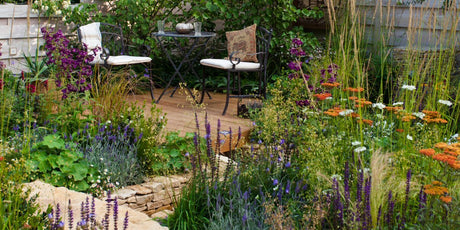 The Garden in July 2020 - Old Railway Line Garden Centre