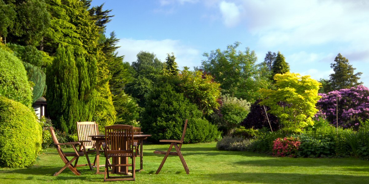 The Garden in June 2020 - Old Railway Line Garden Centre
