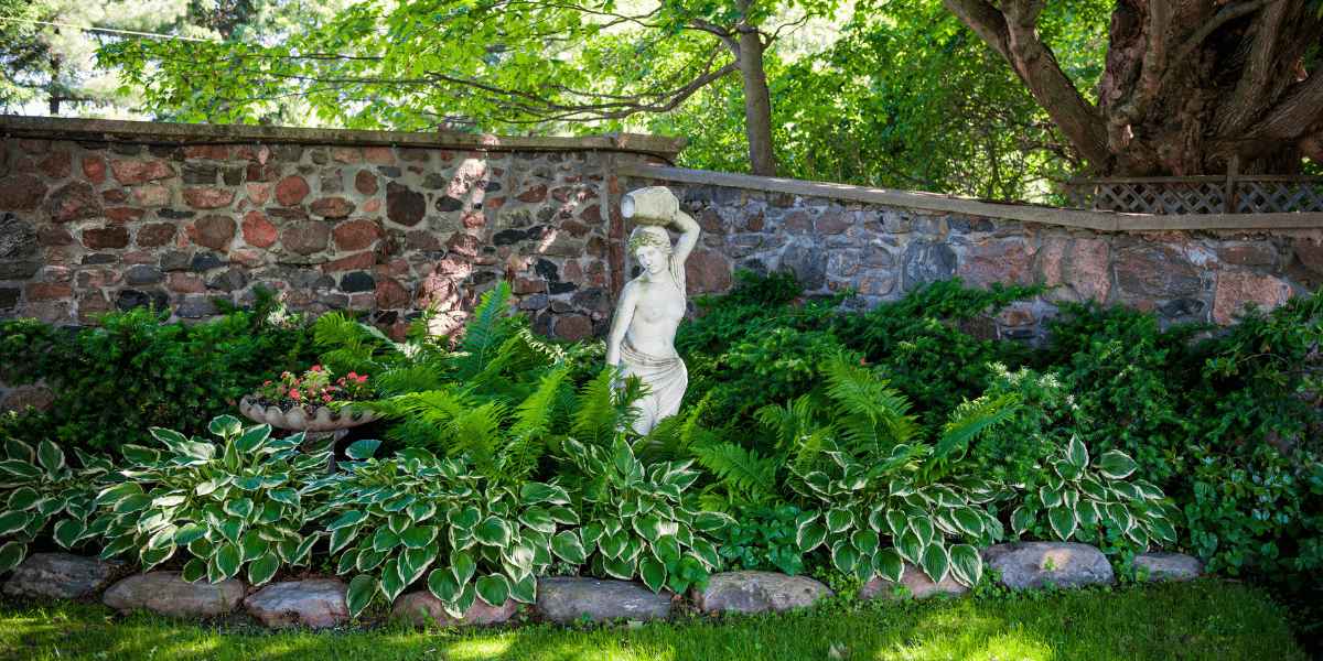 The Garden in June 2025- ‘June is bustin’ out all over’ - Old Railway Line Garden Centre