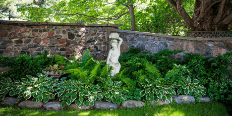 The Garden in June 2025- ‘June is bustin’ out all over’ - Old Railway Line Garden Centre