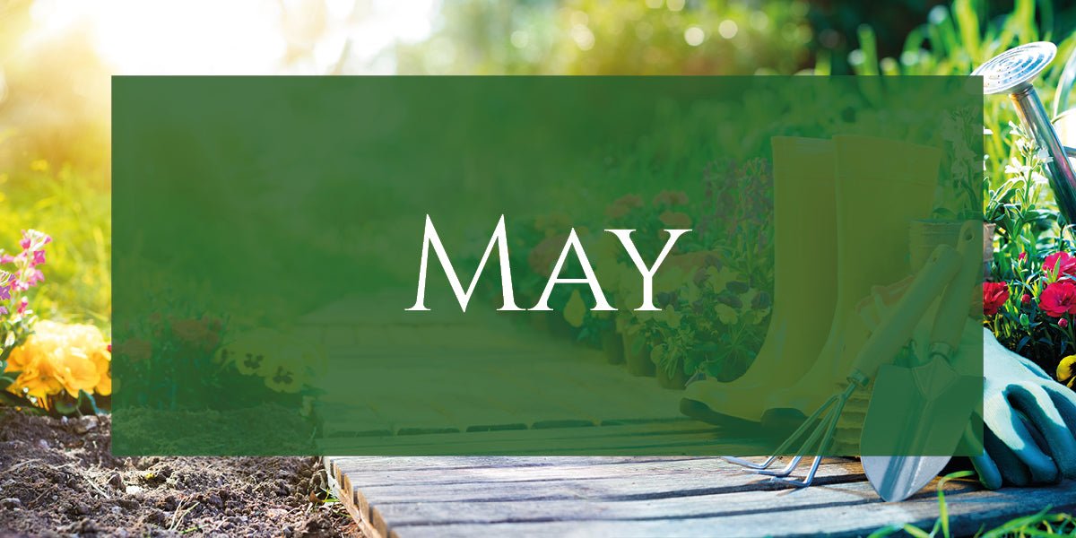 The Garden In May 2021 - Old Railway Line Garden Centre