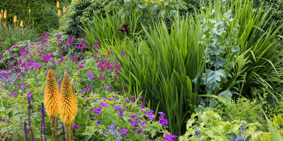The July Garden at Aberglasney 2021 - Old Railway Line Garden Centre
