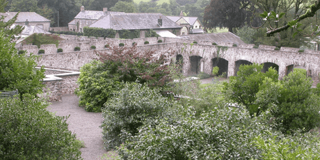 The March Garden at Aberglasney 2022 - Old Railway Line Garden Centre