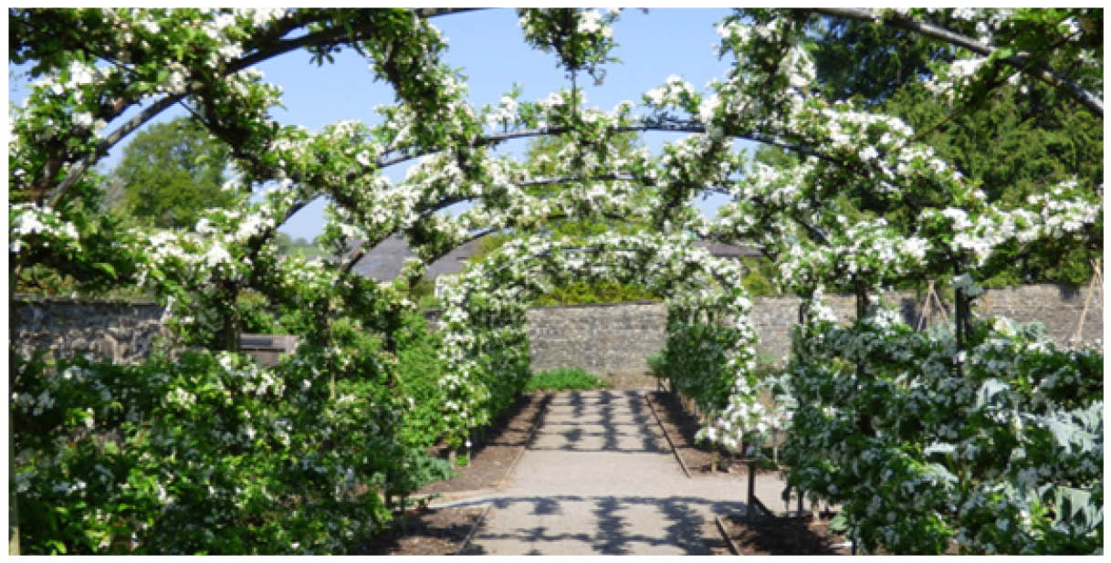 The May Garden 2023 - Old Railway Line Garden Centre