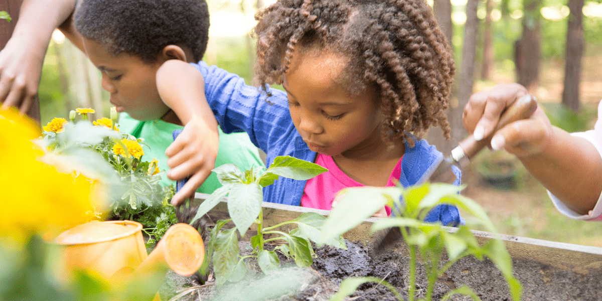 Top 3 Easy Gardening Activities for Children - Old Railway Line Garden Centre