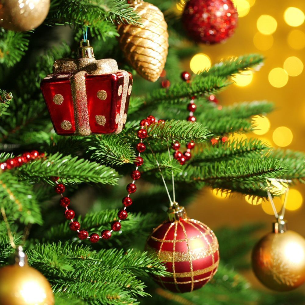 Festive VIP Night - Thursday 20th November