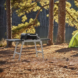 WEBER® Slate GP 43cm Premium Griddle - 1500540