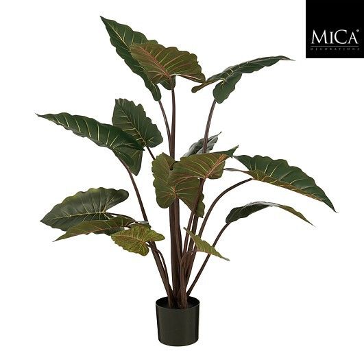 Mica Decorations 60cm Green Artificial Alocasia in Pot - 1131144