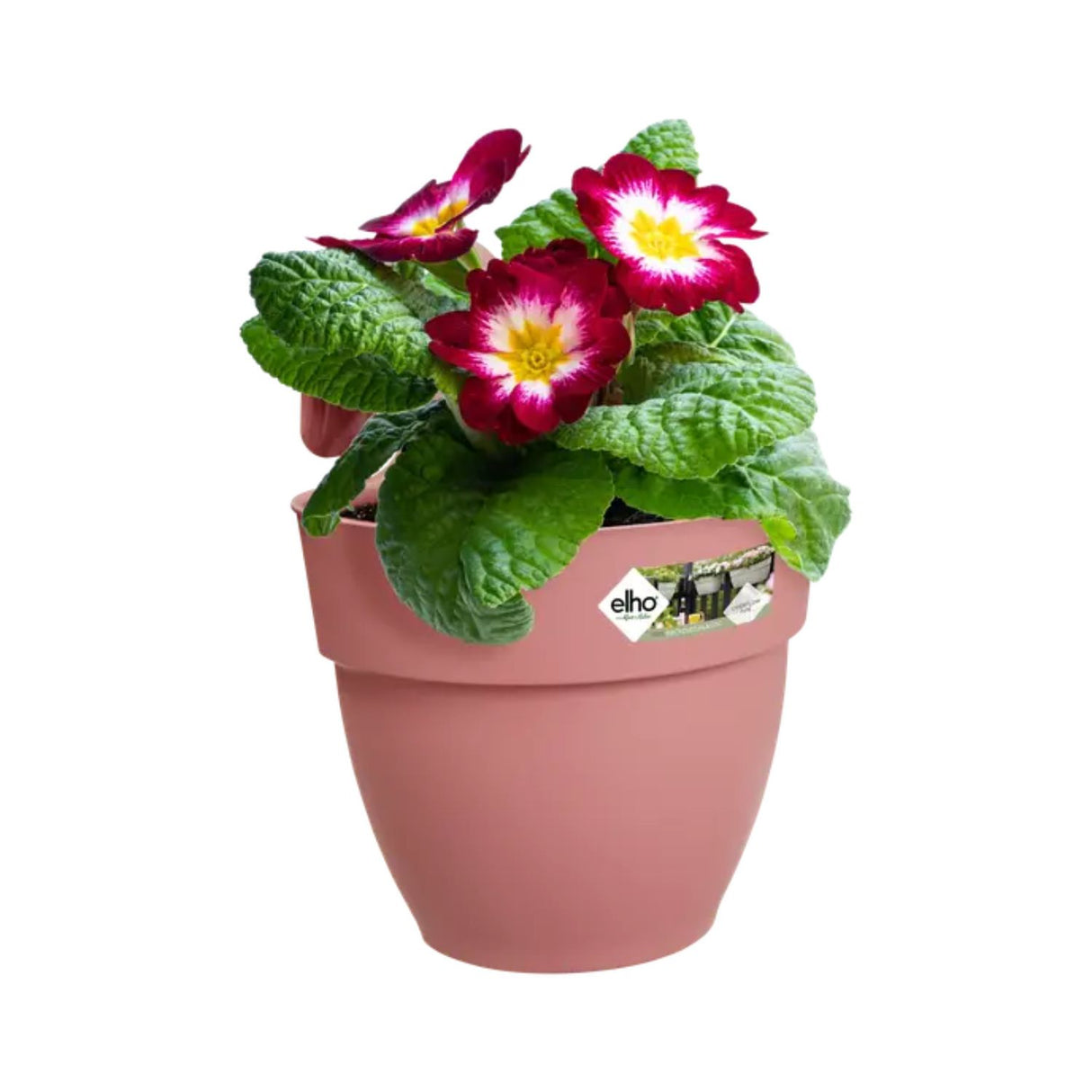 Elho 27cm Dusty Pink Small Vibia Campana Easy Hanger Planter