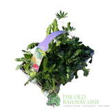 Cottage Garden Pack of 6 Perennials