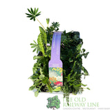 Cottage Garden Pack of 6 Perennials