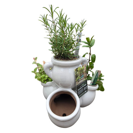 Woodlodge 26cm Glazed Herb Jar Pot - Grey