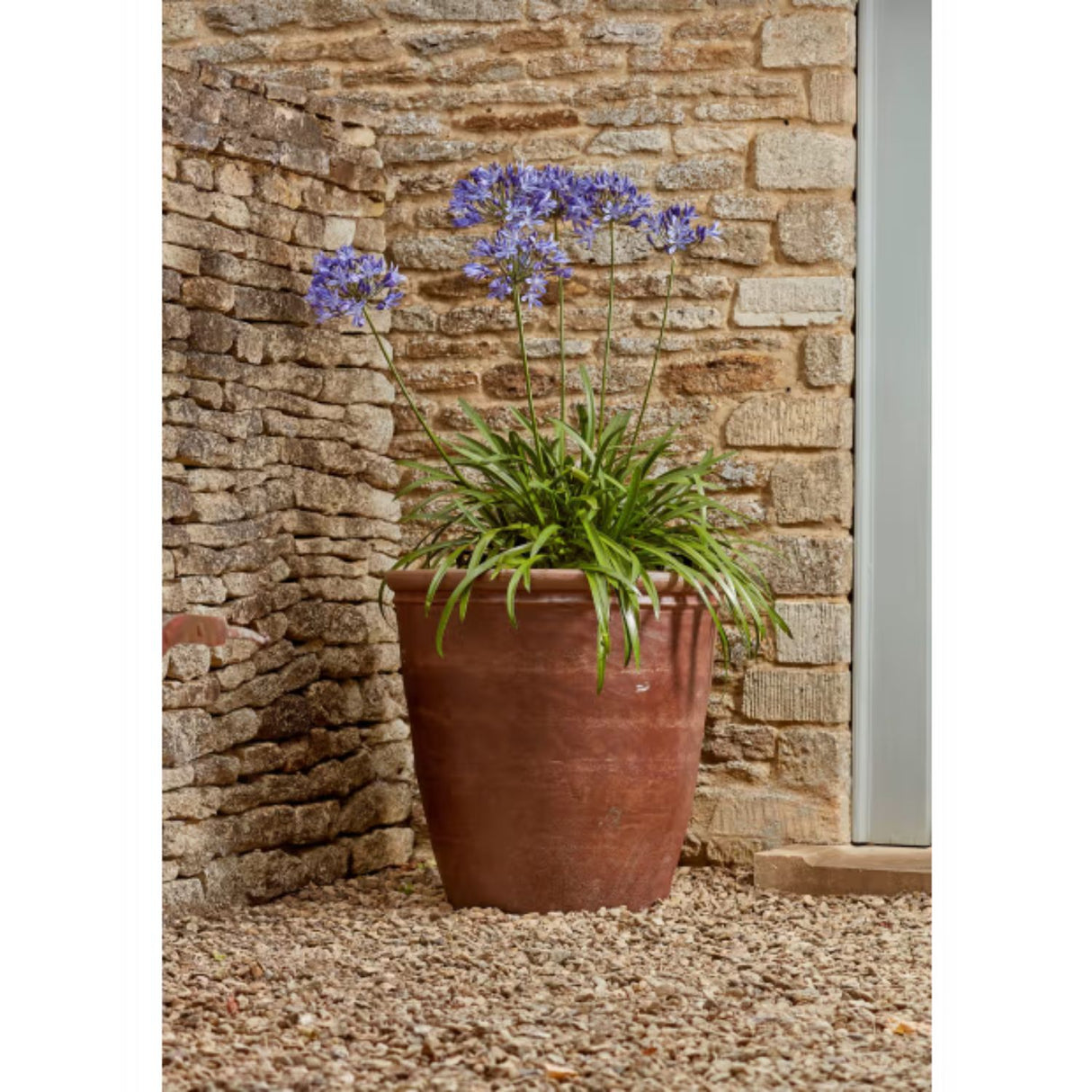 Woodlodge 63cm Brown Chao Striped Pot