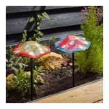 Smart Garden 40cm Giant GlowShrooms