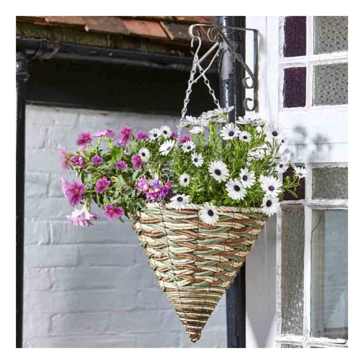 Smart Garden 14" Trinity Hanging Cone