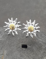 Blue Lily 13mm Daisy Flower Stud Earrings - SS672B