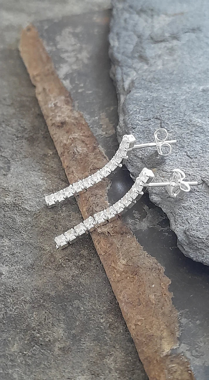 Blue Lily 25mm Clear Crystal Elegant Drop Earrings - SE506B