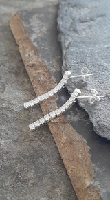 Blue Lily 25mm Clear Crystal Elegant Drop Earrings - SE506B