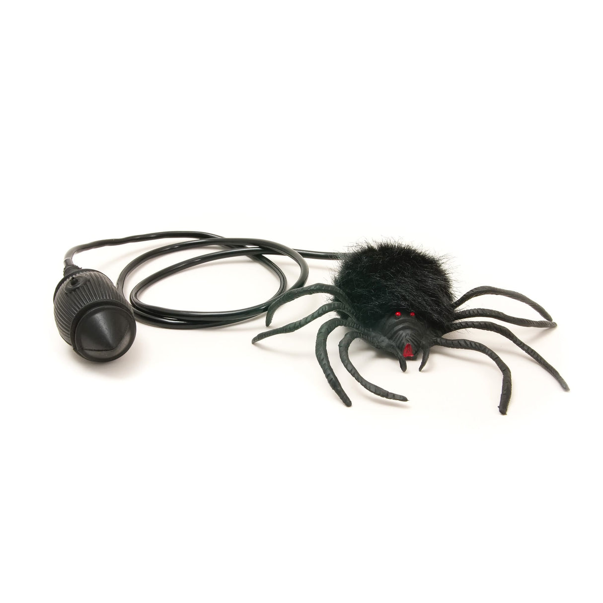 House of Marbles Hairy Jumping Spider