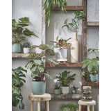 Mica Decorations 7.5cm Green Daan Round Pot