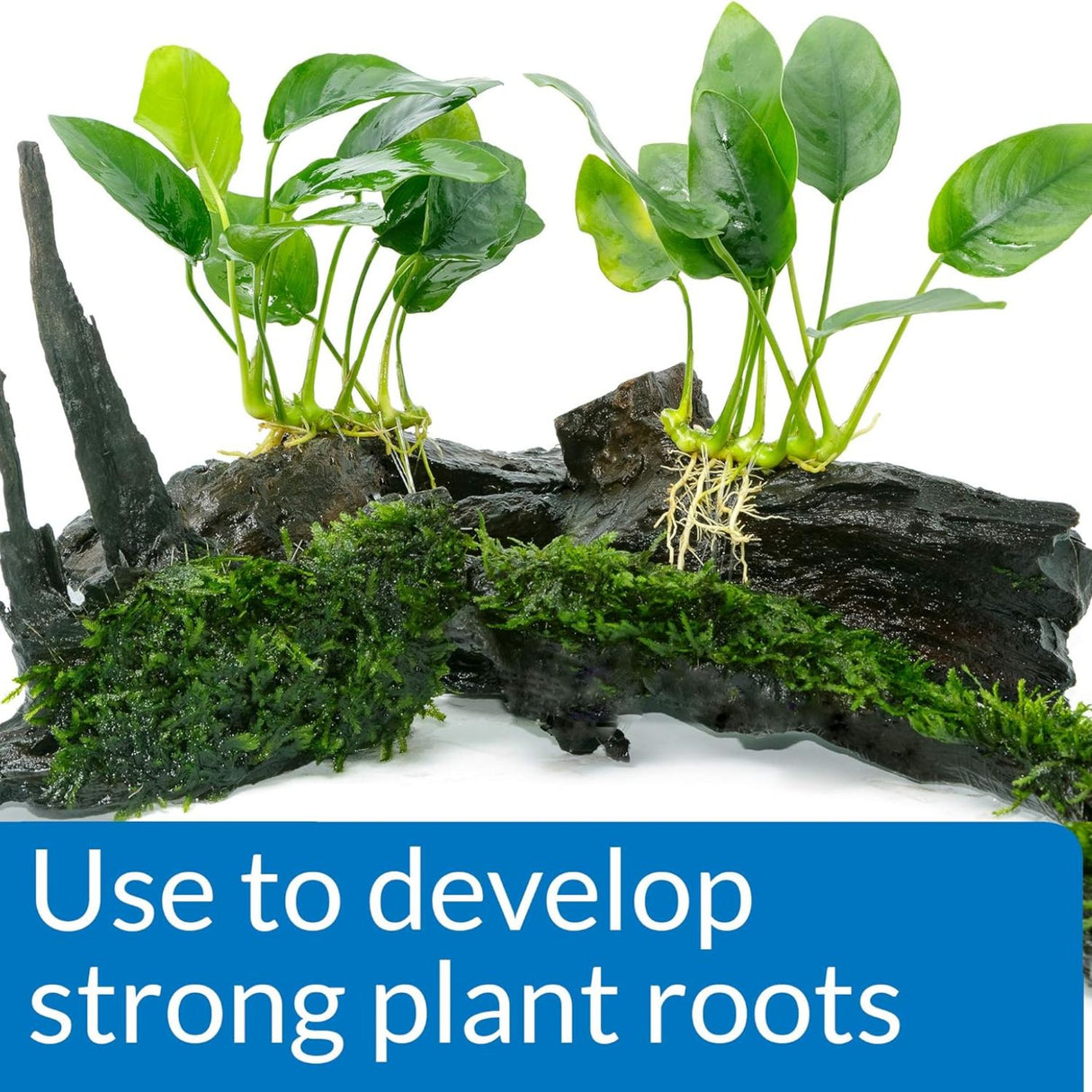 API Root Tabs Fertiliser for Aquarium Plants - Pack of 10