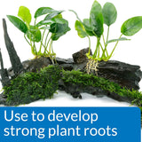 API Root Tabs Fertiliser for Aquarium Plants - Pack of 10