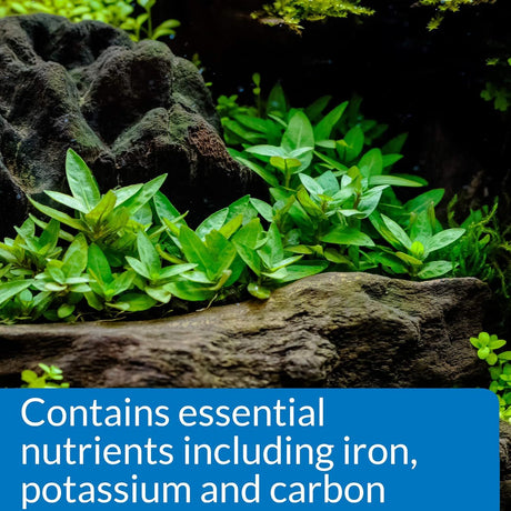 API Root Tabs Fertiliser for Aquarium Plants - Pack of 10