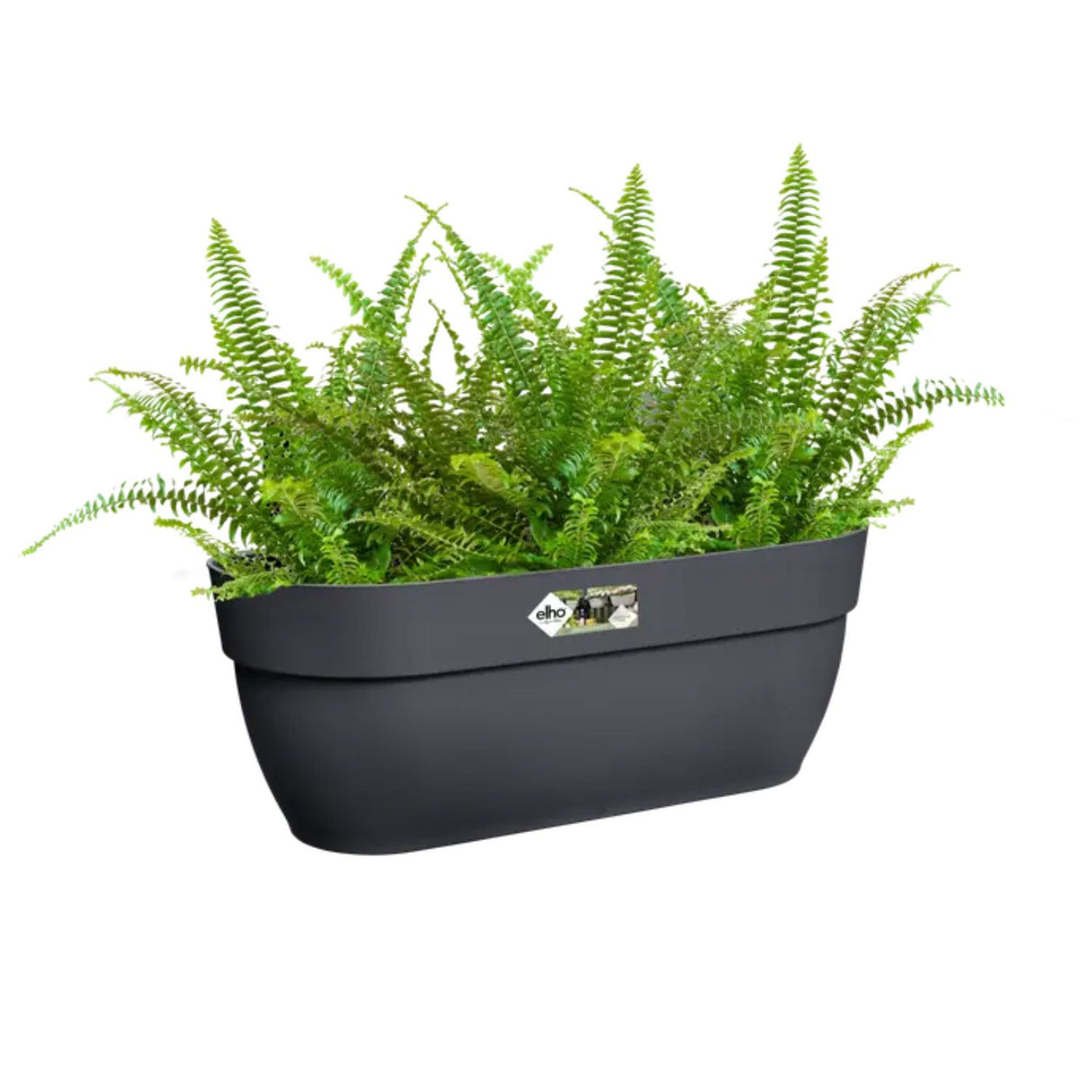 Elho 46cm Anthracite Large Vibia Campana Easy Hanger Planter