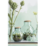 Mica Decorations 25cm Glass Olly Terrarium Ball Vase