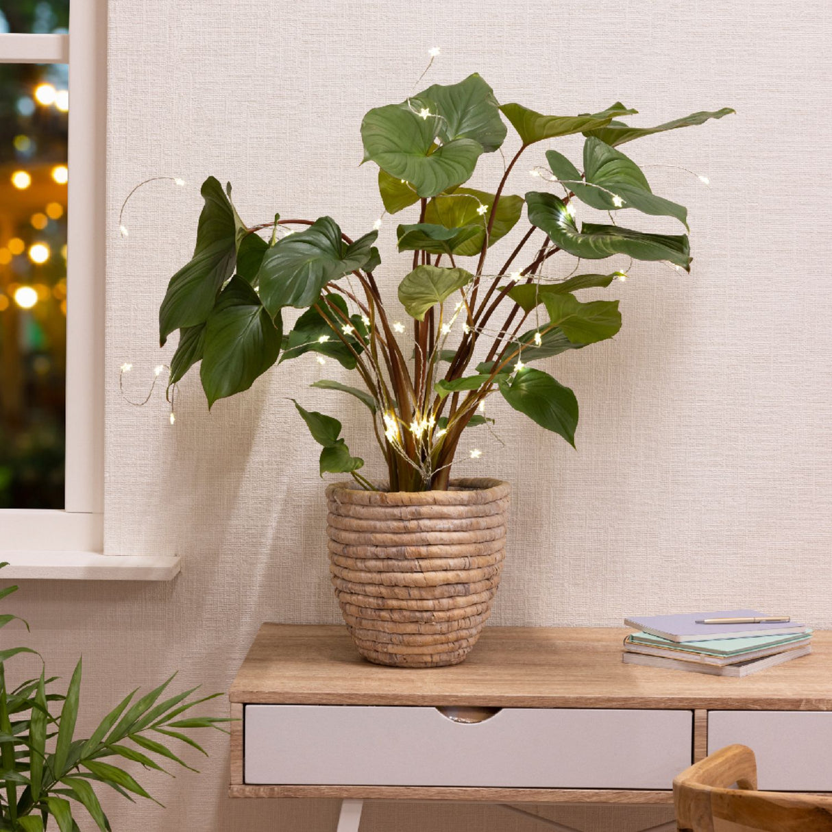 Lumineo 80cm Warm White Micro LED Star Wire Sting Lights for Plants