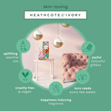 Cloud Nine 120ml Reed Diffuser