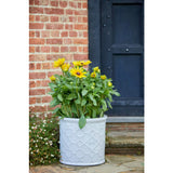 Woodlodge 37cm White RHS Cylinder Lattice Glazed Pot