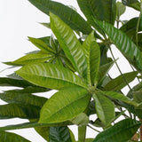 Mica Decorations 150cm Green Artificial Pachira Plant in a Pot