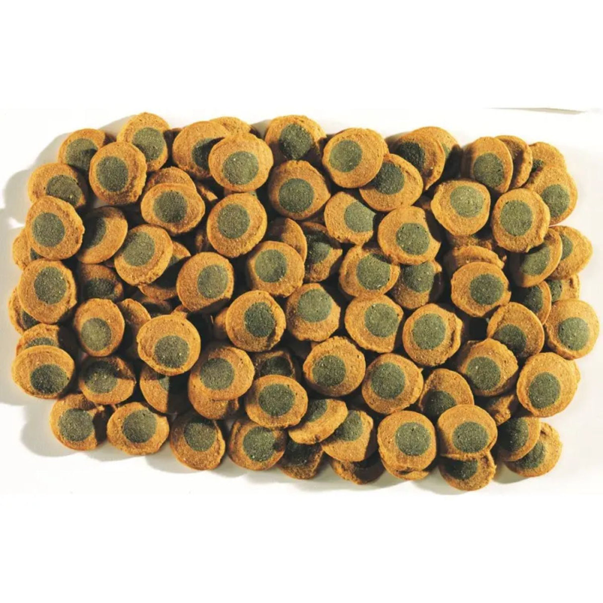 Tetra 150g Pleco Spirulina Wafers