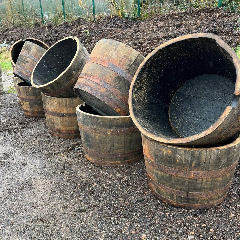 Whiskey Barrel Brothers Large Half Oak Barrel Wooden Planter