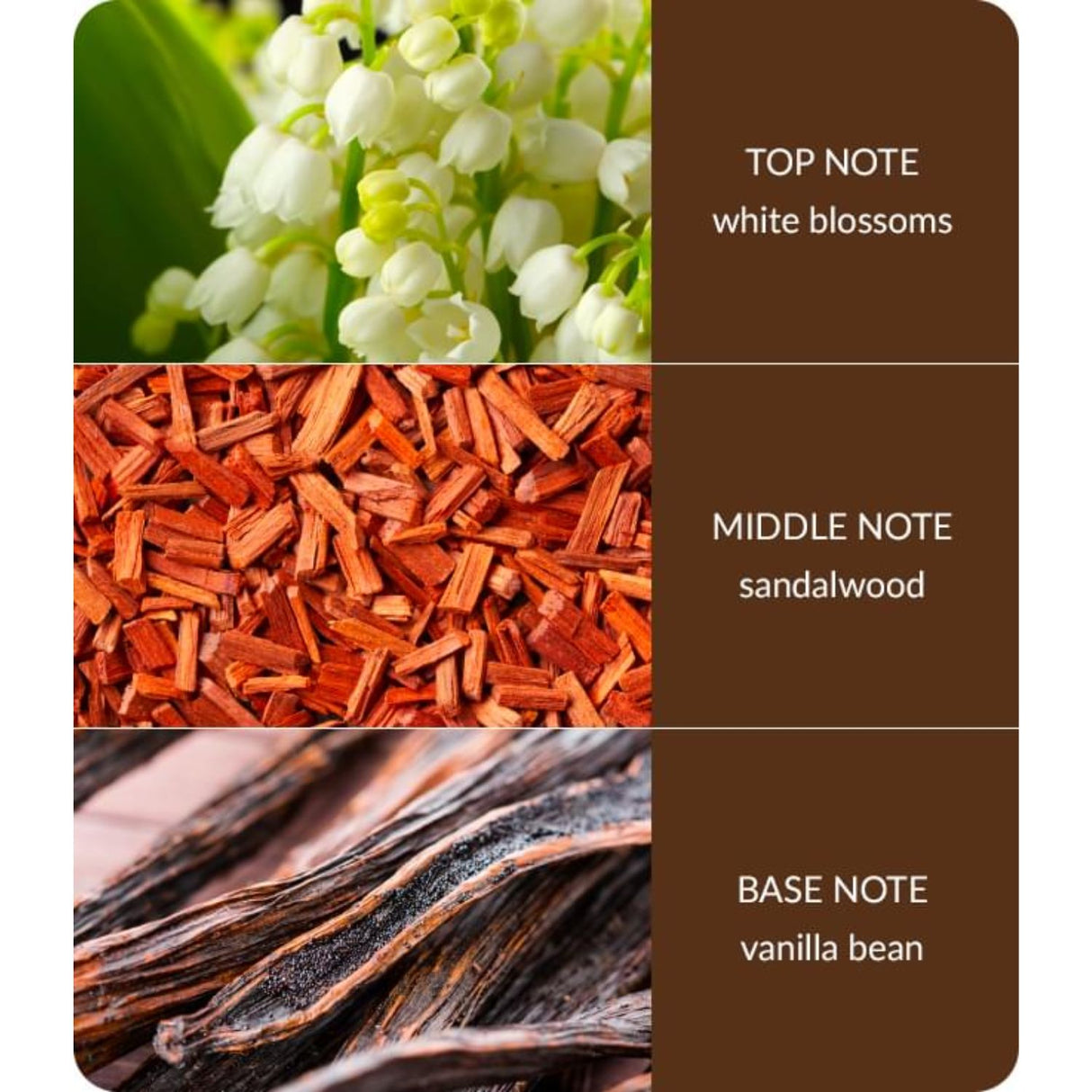 History & Heraldry Bamboo 70ml White Blossom & Sandalwood Reed Diffuser